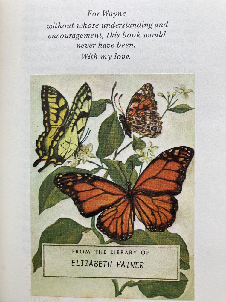 A Breath of Beauty