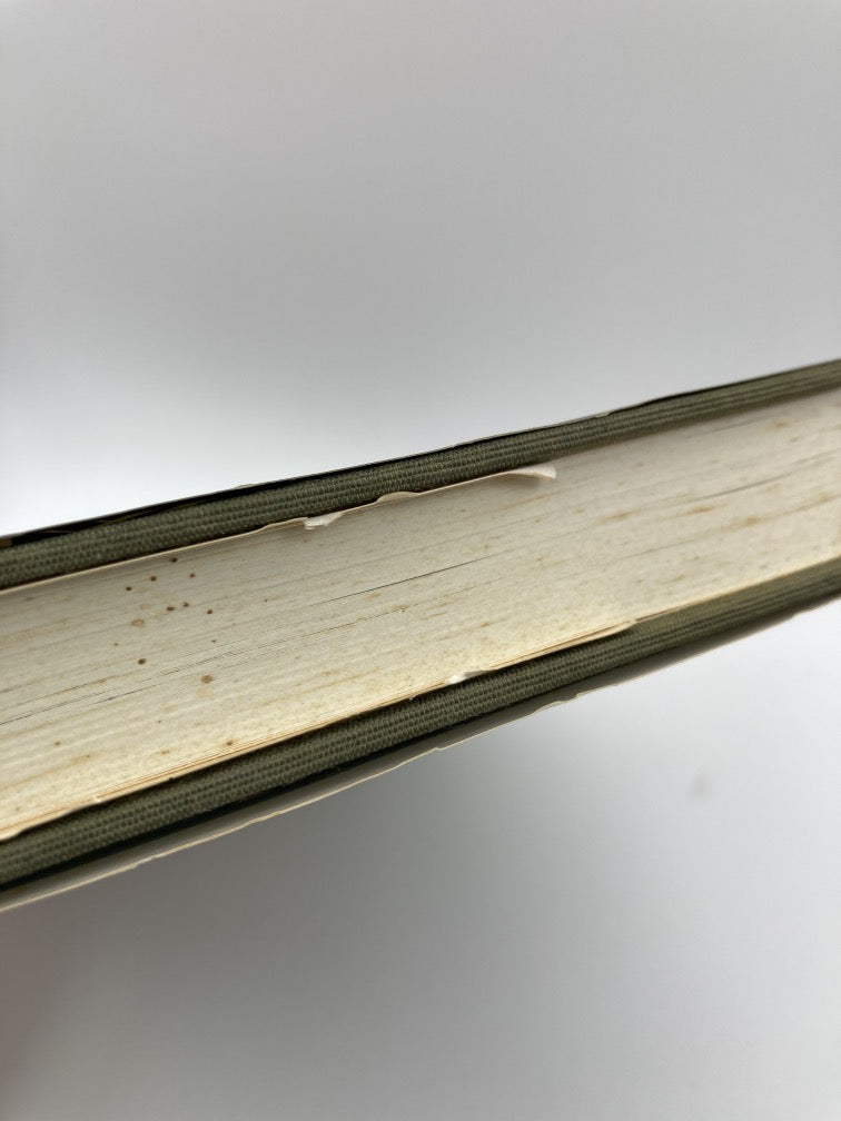 Florida Wild Flowers and Roadside Plants