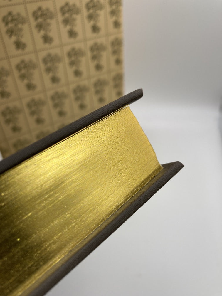 Hawthorne 20 Tales: A Selection of 20 Short Stories