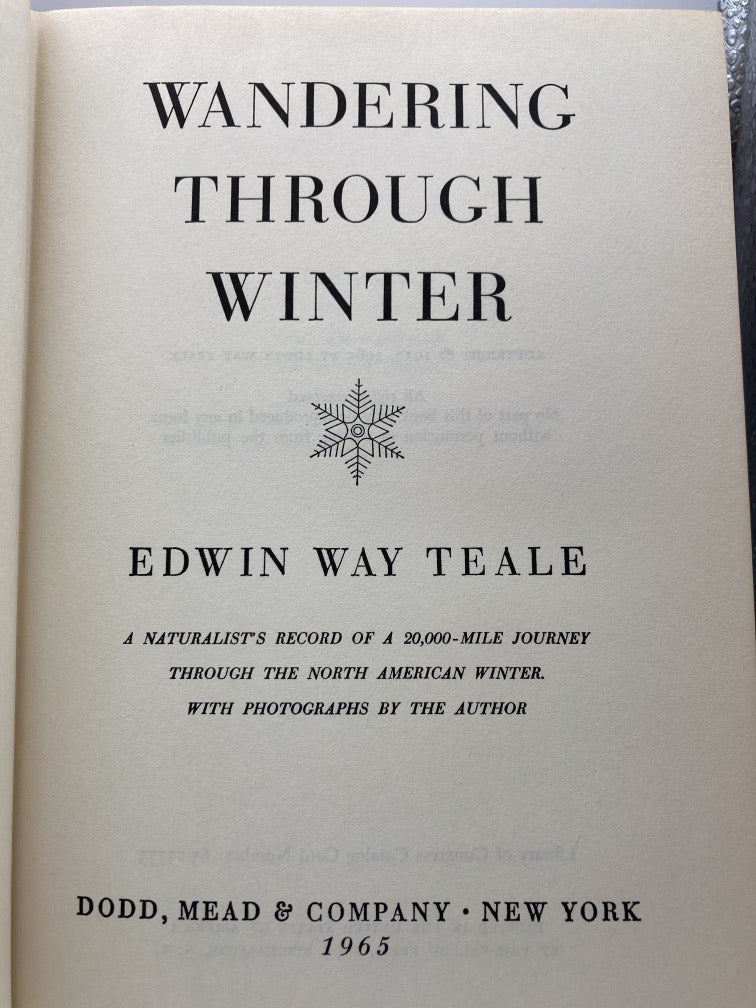 Wandering Through Winter