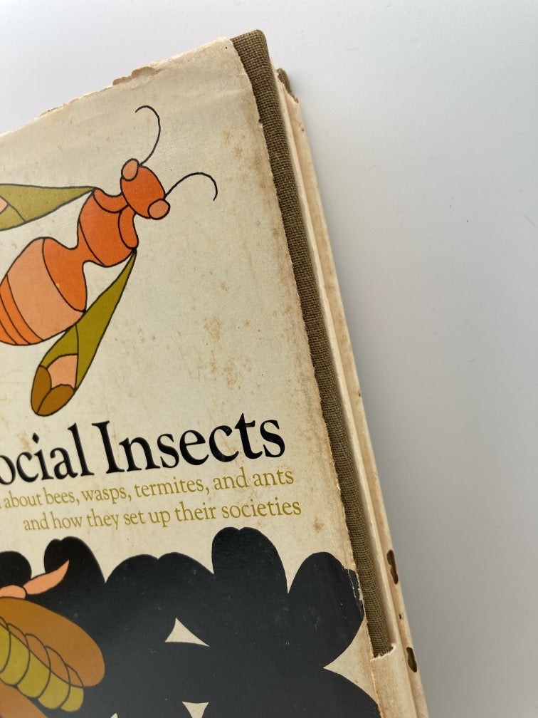 Lives of Social Insects: All about Bees, Wasps, Termites and Ants, and How They Set up Their Societies