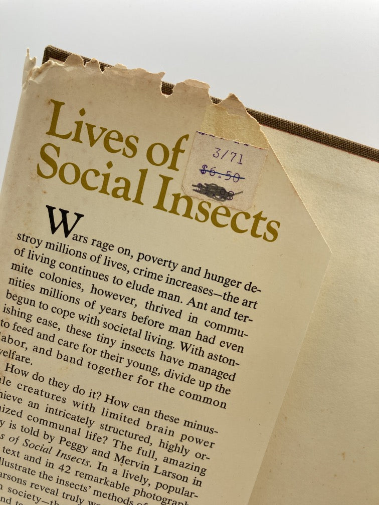 Lives of Social Insects: All about Bees, Wasps, Termites and Ants, and How They Set up Their Societies