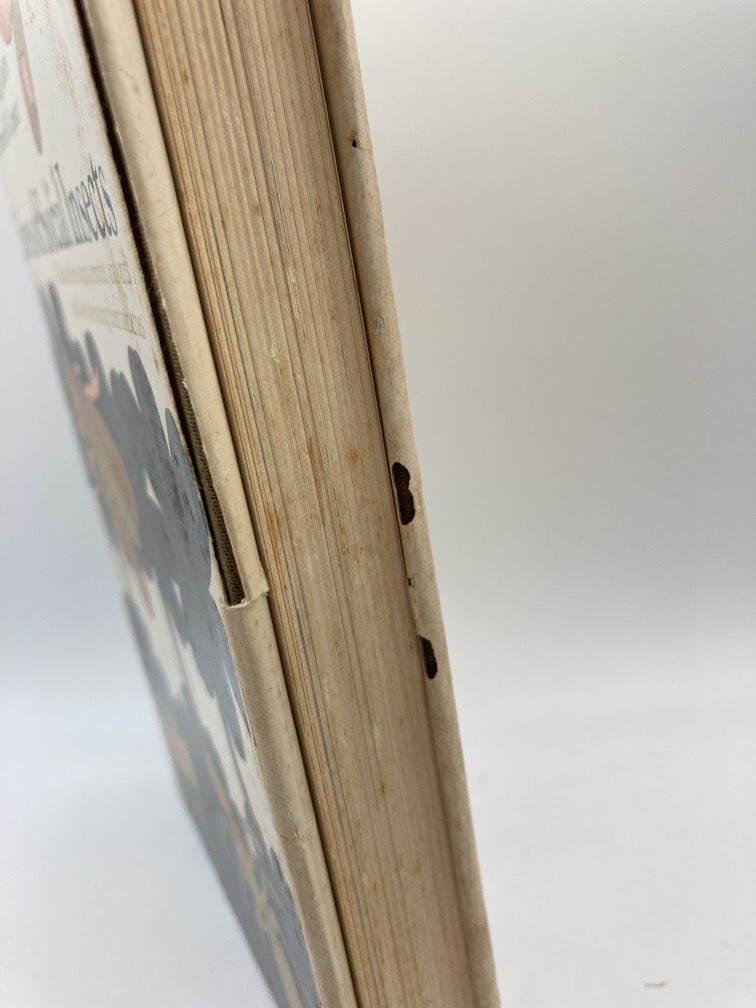 Lives of Social Insects: All about Bees, Wasps, Termites and Ants, and How They Set up Their Societies