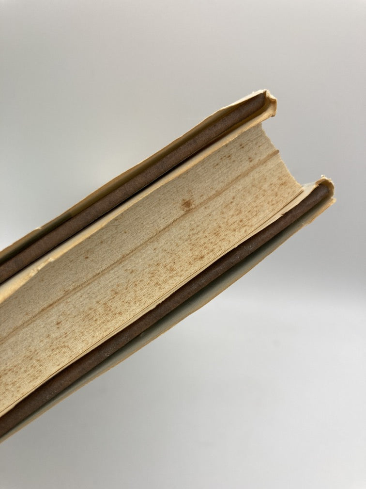 Witness to War: An American Doctor in El Salvador