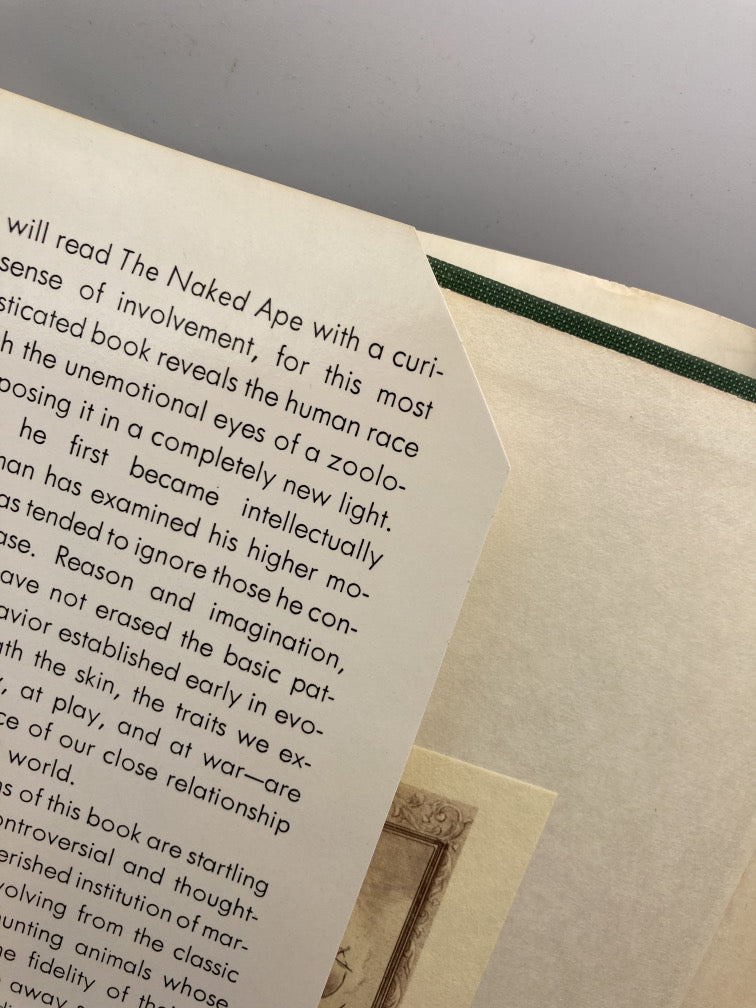 The Naked Ape + The Human Zoo