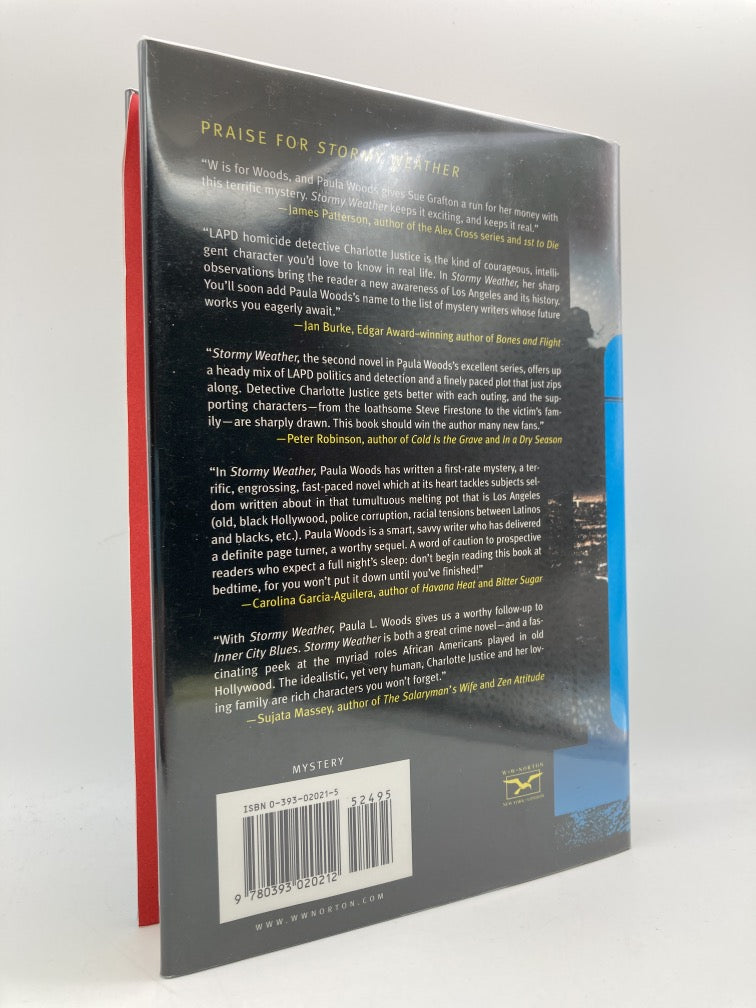 Stormy Weather: A Charlotte Justice Novel