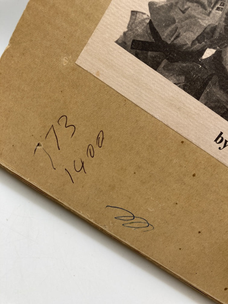 Korean Karate: Free Fighting Techniques