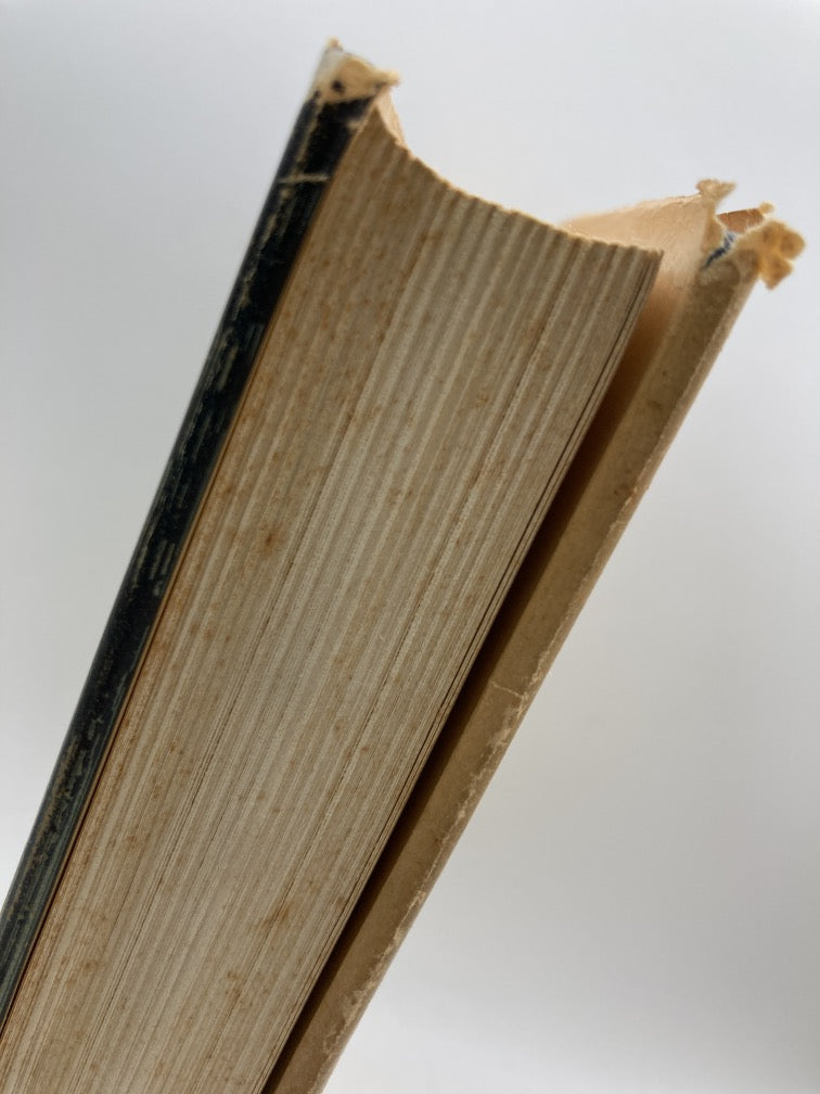 Hans the Eskimo: His Story of Arctic Adventure with Kane, Hayes and Hall