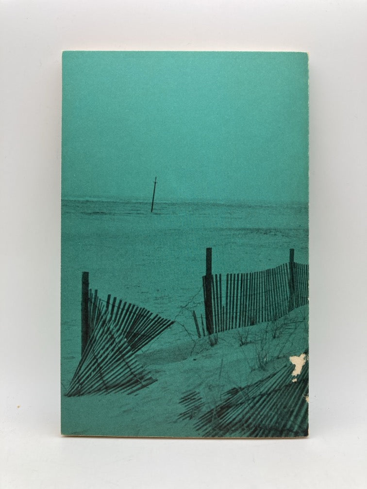 Shipwrecks Near Barnegat Inlet