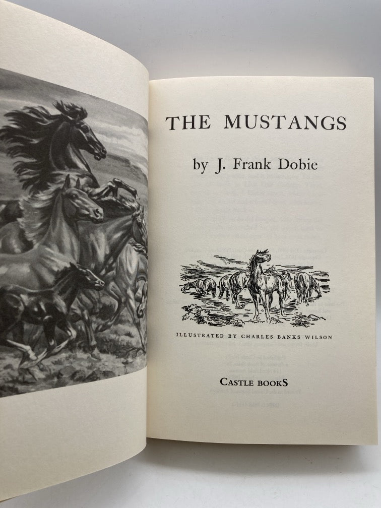 The Mustangs
