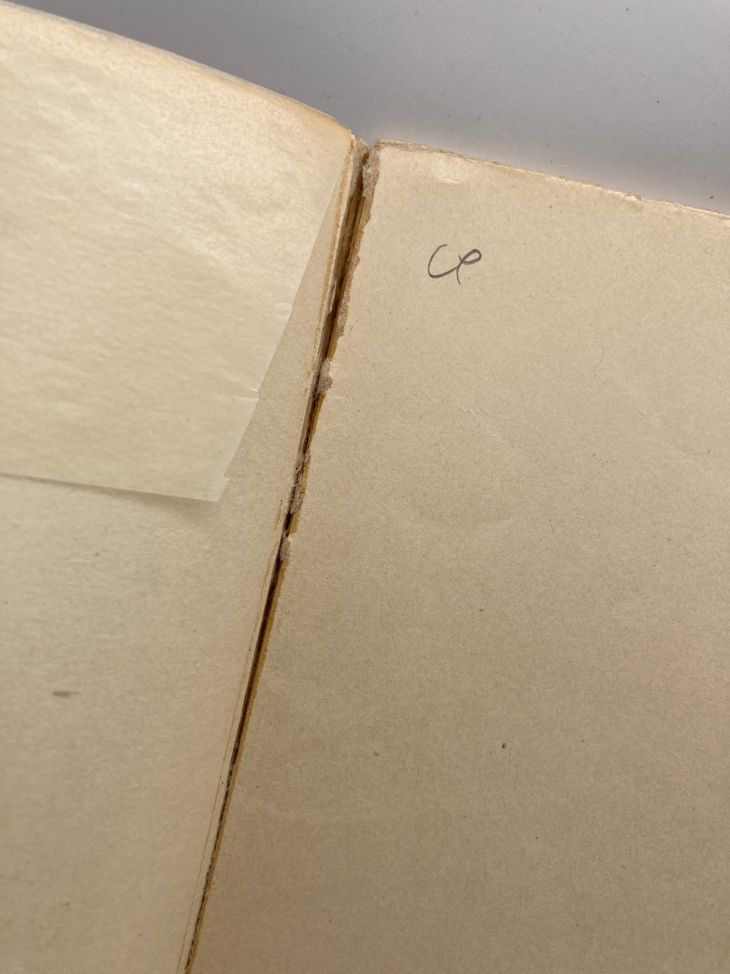 L'Enfant Criminel & Adame Miroir