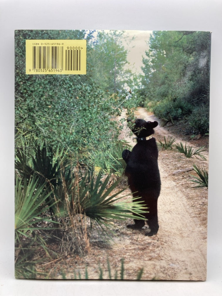 The Threatened Florida Black Bear