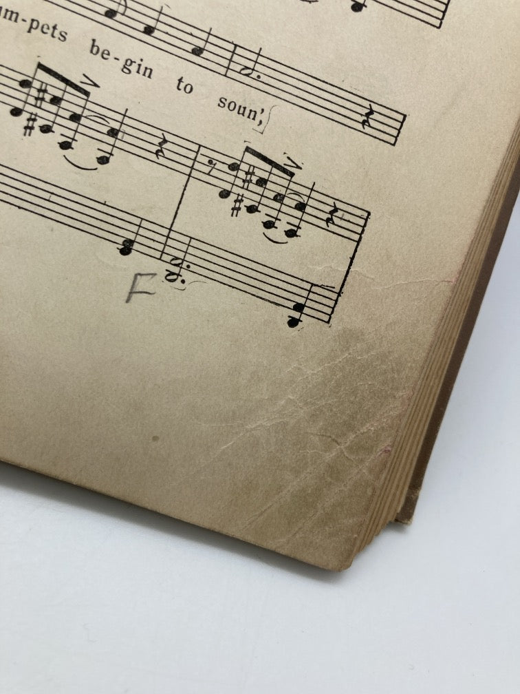 The Book of American Negro Spirituals