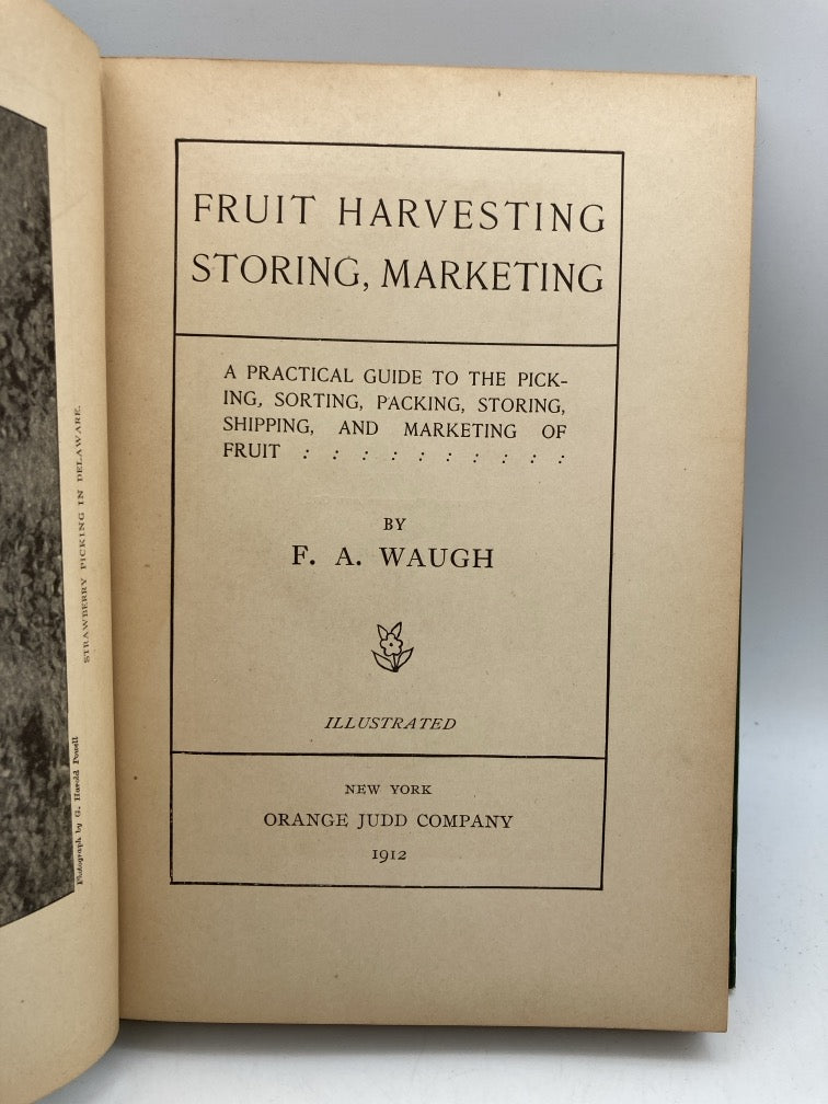 Fruit Harvesting, Storing, Marketing