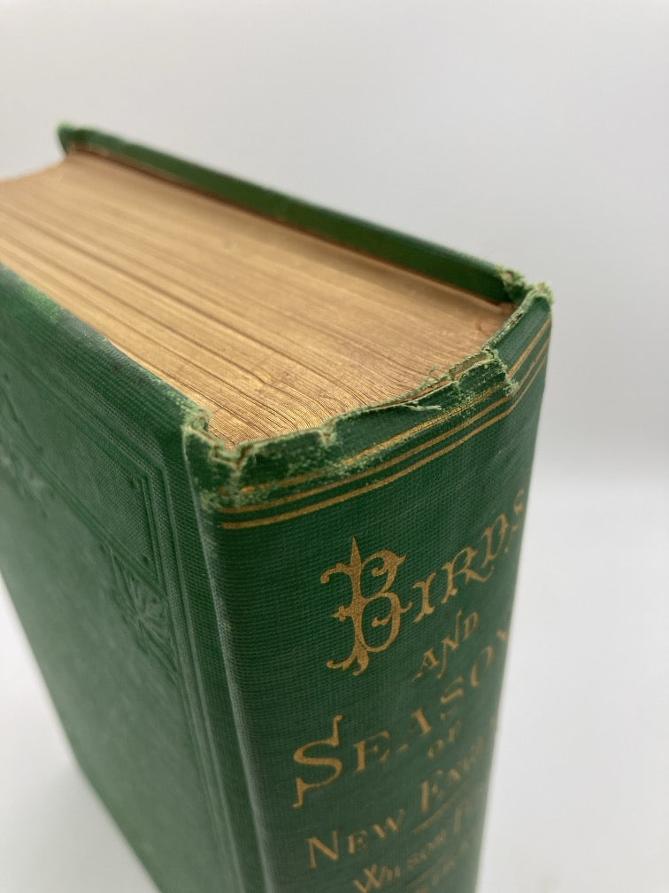 Birds and Seasons of New England (1st Edition)