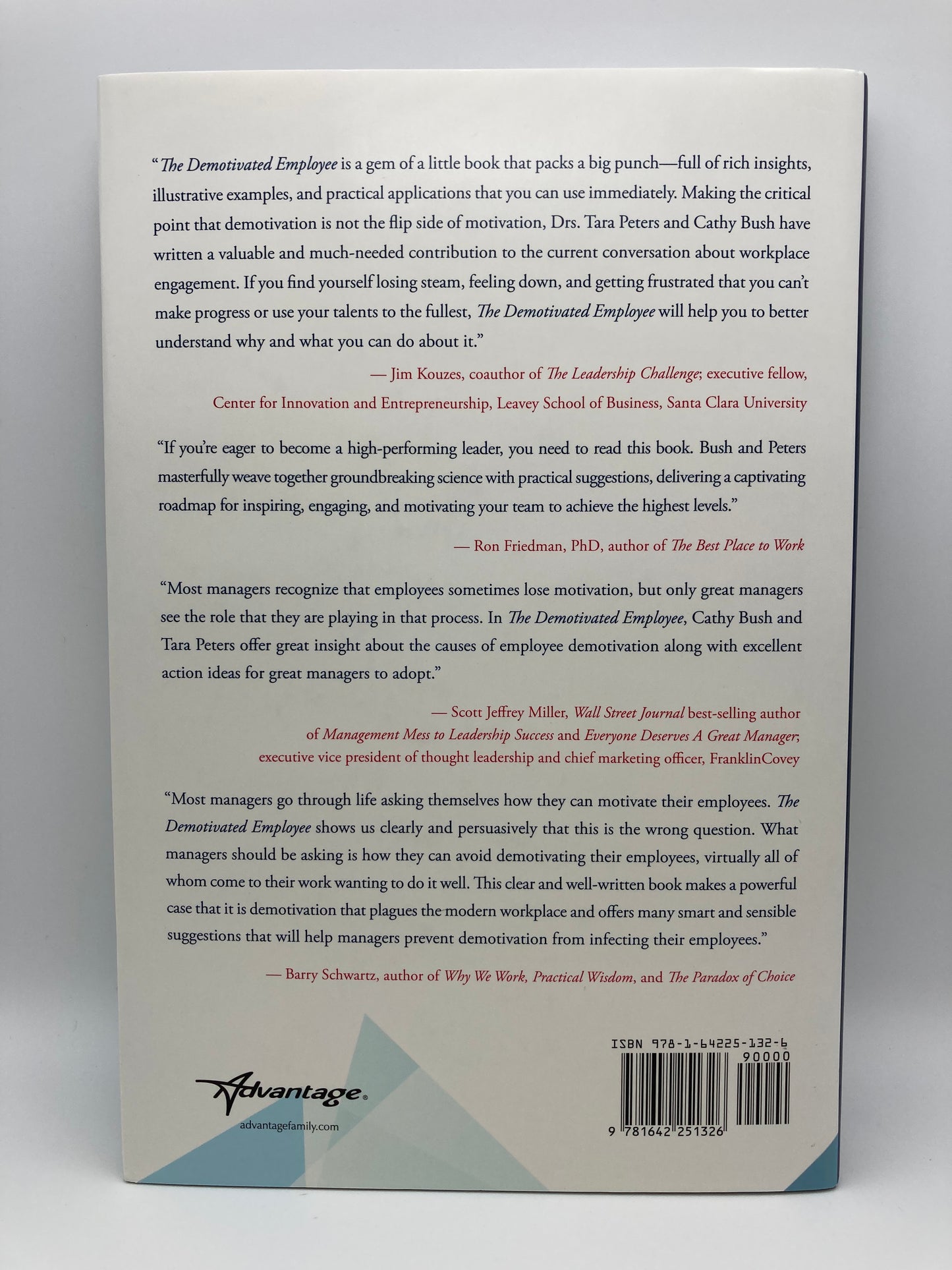 The Demotivated Employee: Helping Leaders Solve the Motivation Crisis That Is Plaguing Business