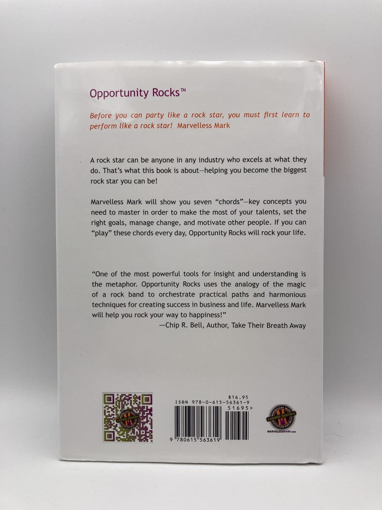 Opportunity Rocks! Be a Rock Star in Business and Beyond