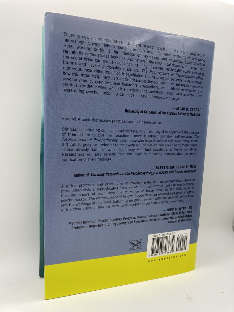 The Neuroscience of Psychotherapy: Building and Rebuilding the Human Brain (Norton Series on Interpersonal Neurobiology)