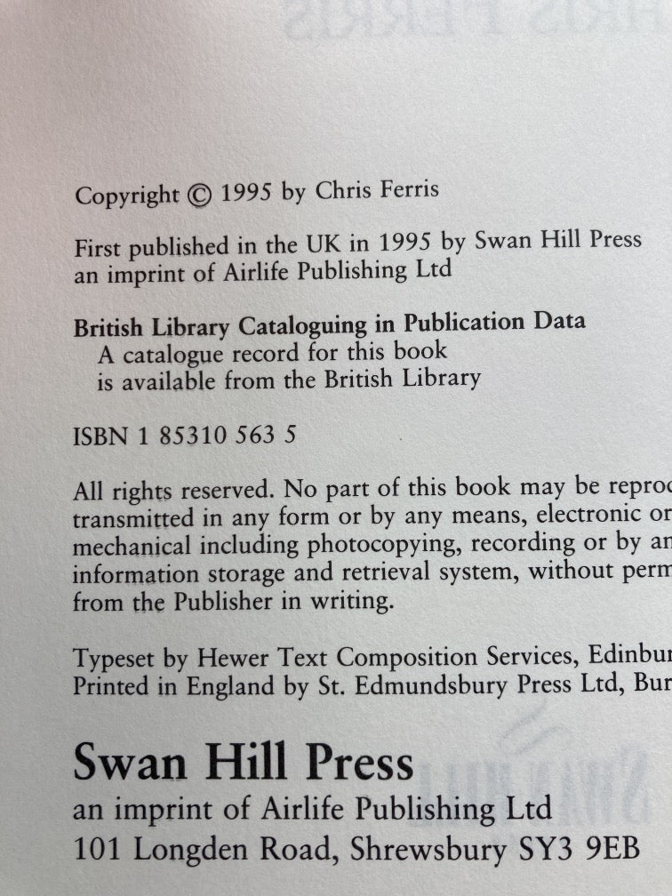 Beneath the Dark Hill