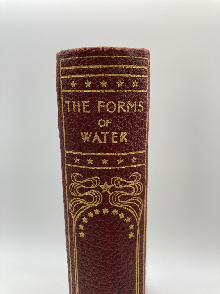 Forms of Water in Clouds and Rivers Ice and Glaciers (International Science Library)