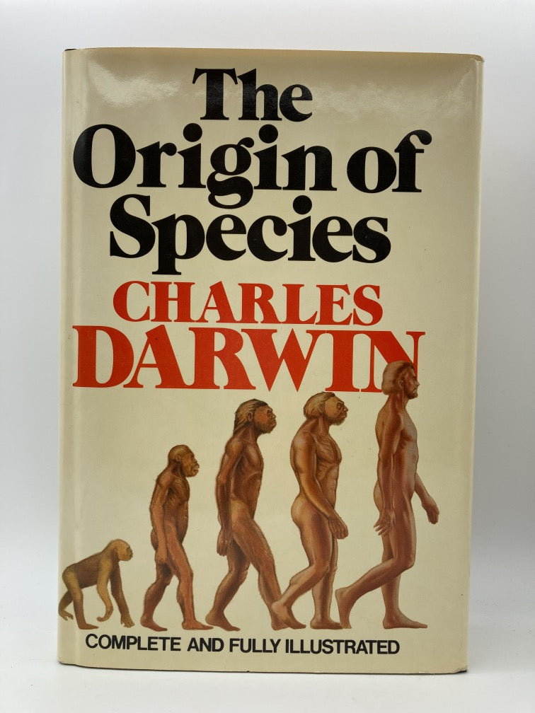 Origin Of Species