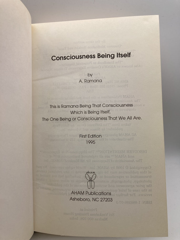 Consciousness Being Itself