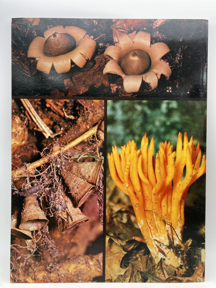 All Color Book of Mushrooms and Fungi