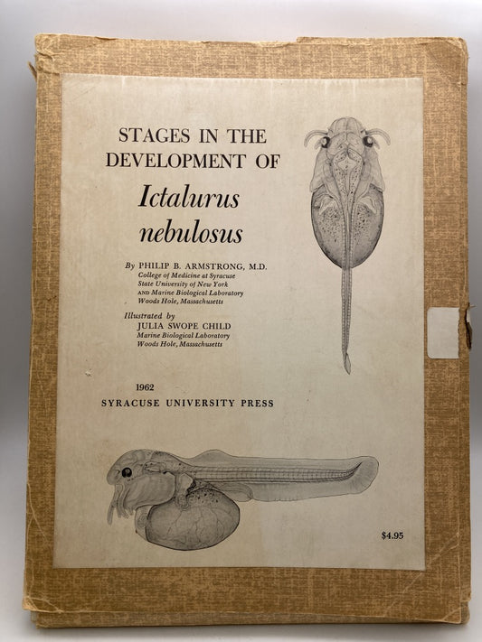 Stages in the Development of Ictalurus Nebulosus (Cardboard Plates)