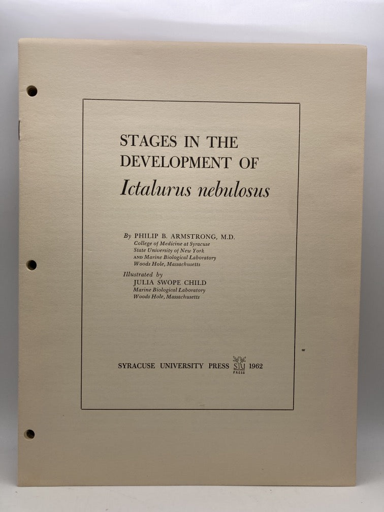 Stages in the Development of Ictalurus Nebulosus (Cardboard Plates)