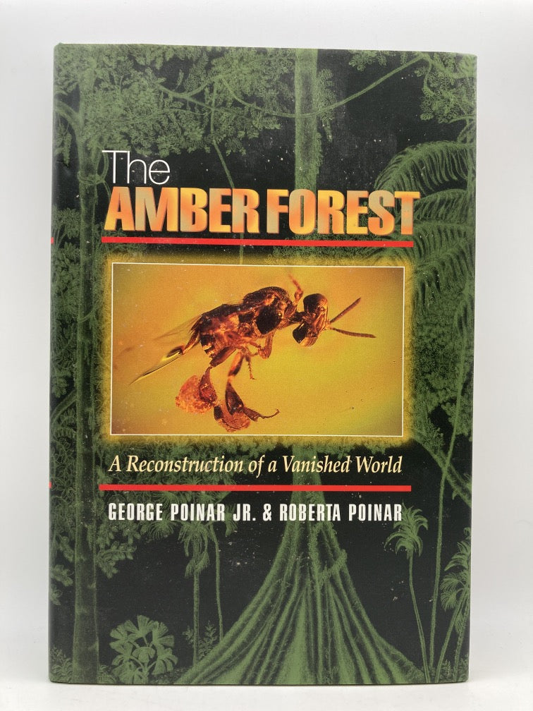 The Amber Forest: A Reconstruction of a Vanished World