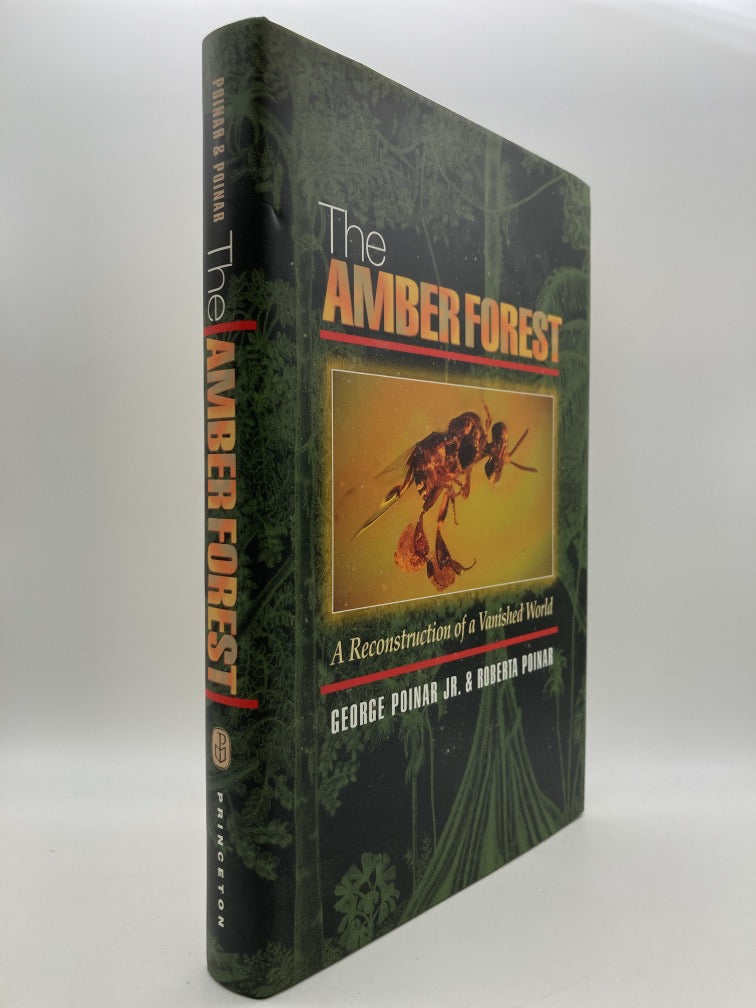 The Amber Forest: A Reconstruction of a Vanished World