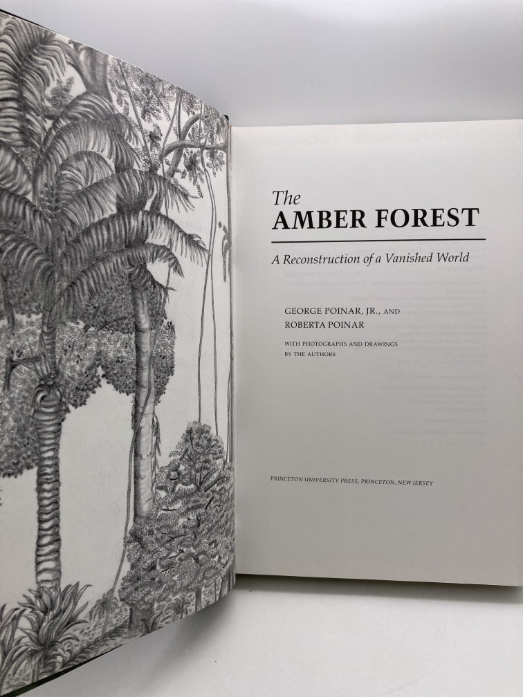 The Amber Forest: A Reconstruction of a Vanished World