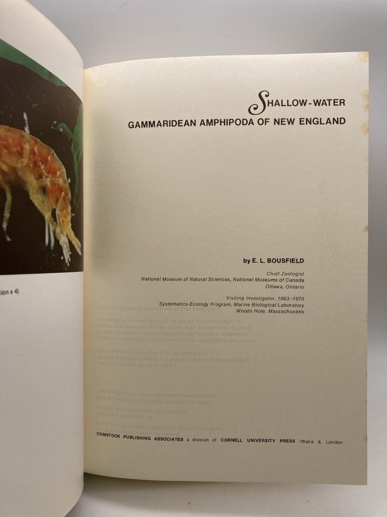 Shallow-Water Gammaridean Amphipoda of New England