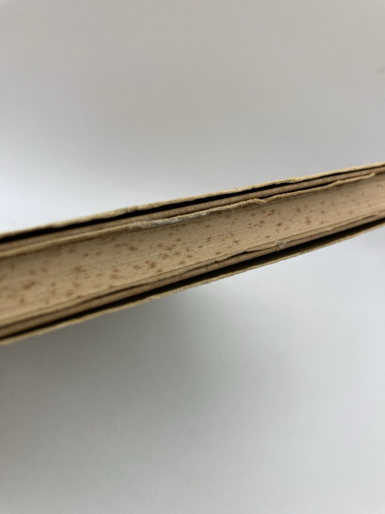 The Spirit of the Brush