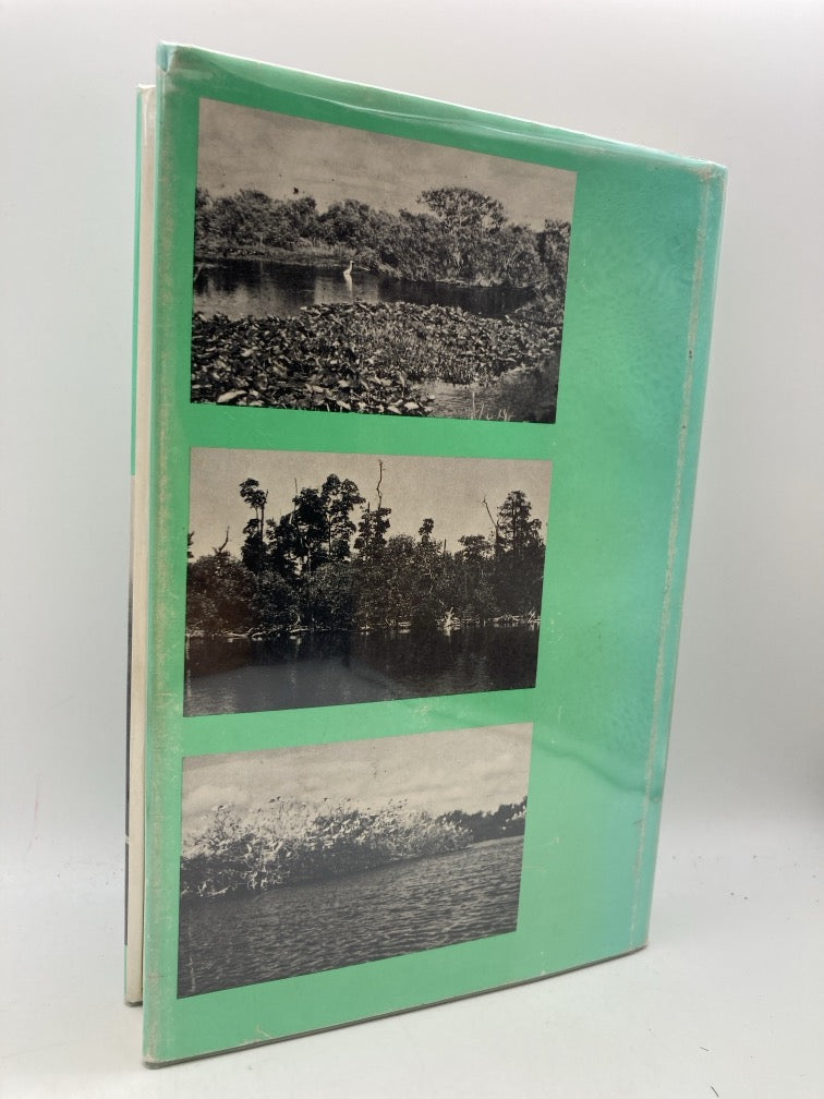 Beyond the Fourth Generation