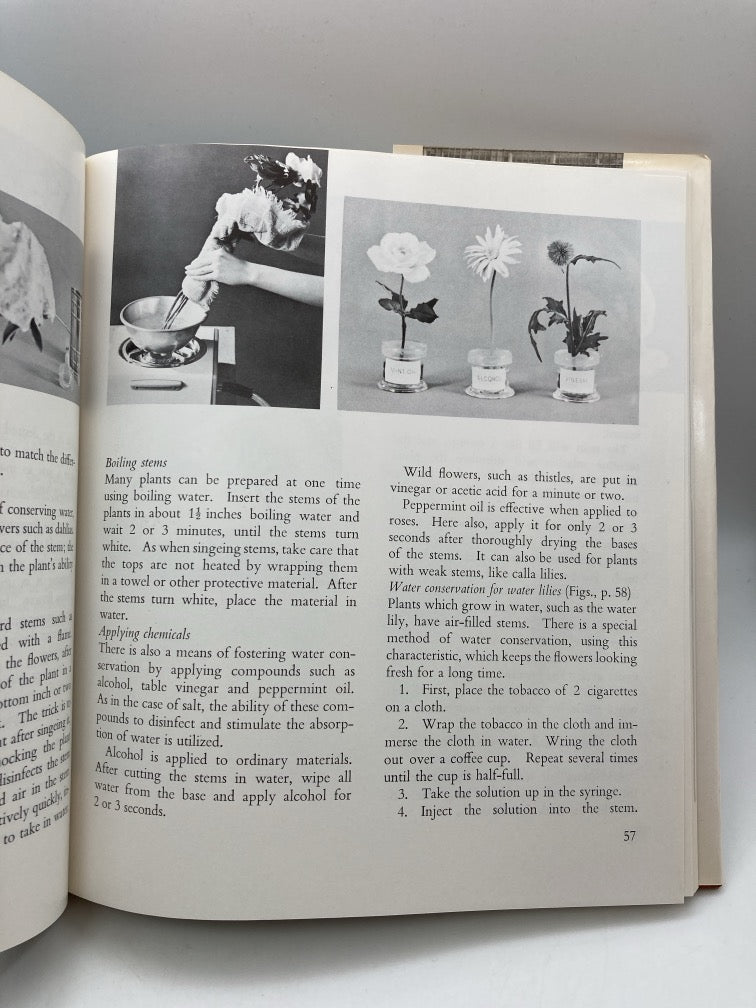 Japanese Flower Arrangement: A New Illustrated Guide to Mastery