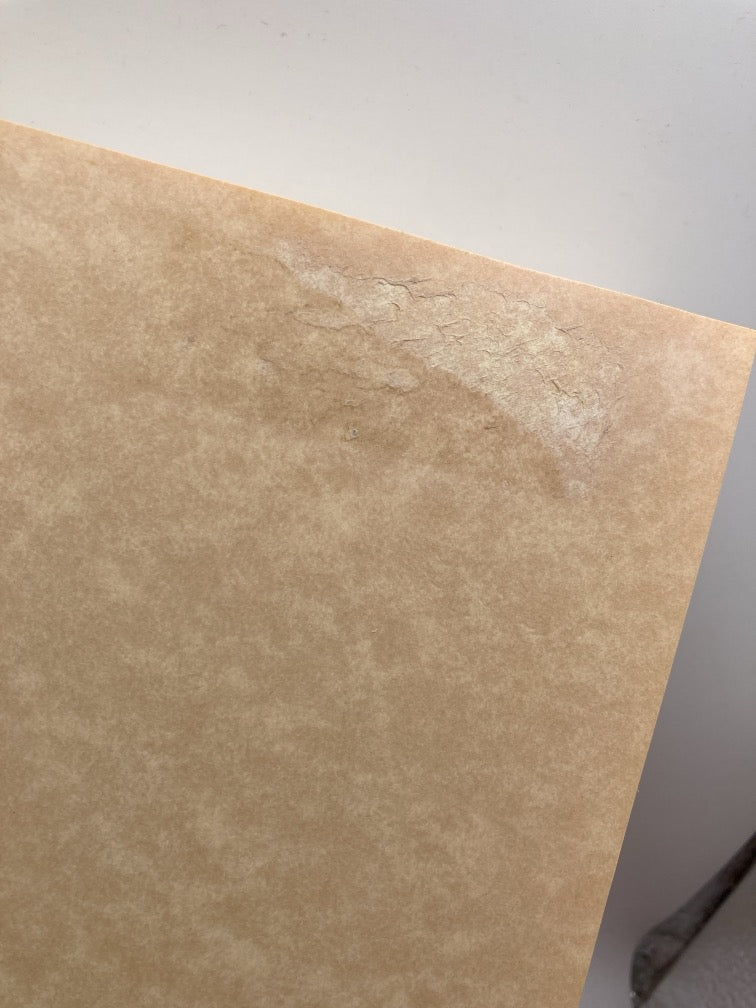 The Rain of Wisdom: The Essence of the Ocean of True Meaning