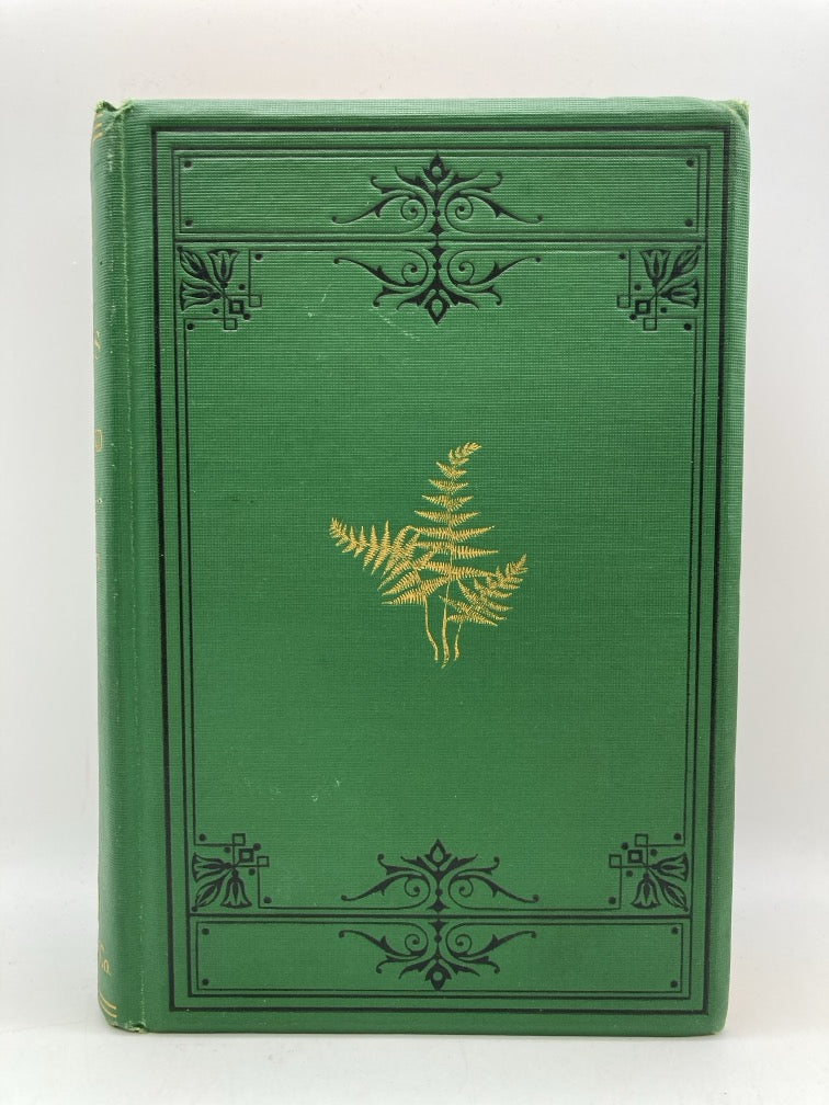 Birds and Seasons of New England (1st Edition)