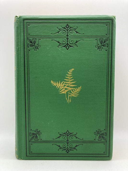 Birds and Seasons of New England (1st Edition)