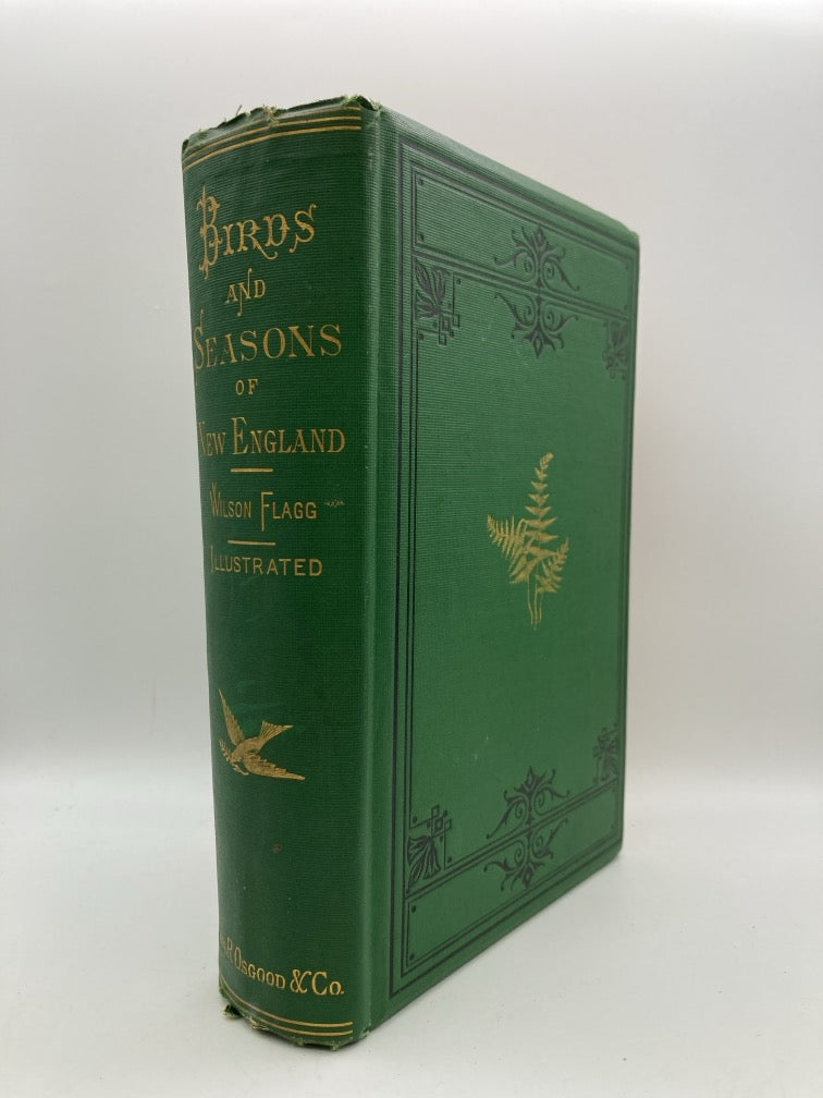 Birds and Seasons of New England (1st Edition)