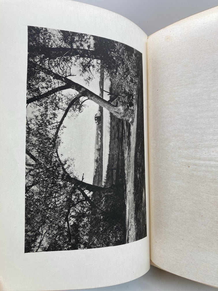 Birds and Seasons of New England (1st Edition)