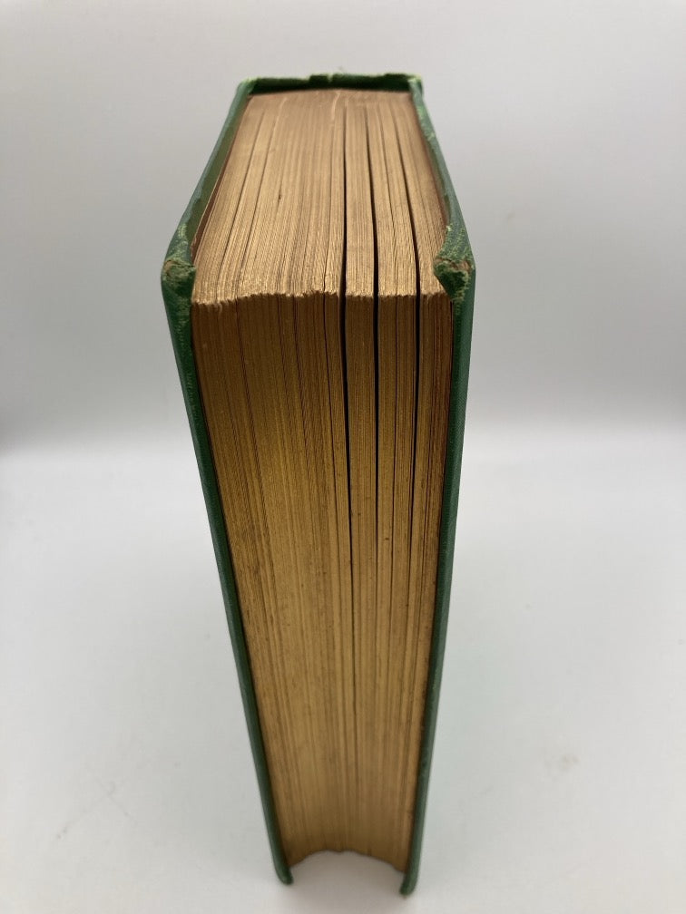 Birds and Seasons of New England (1st Edition)