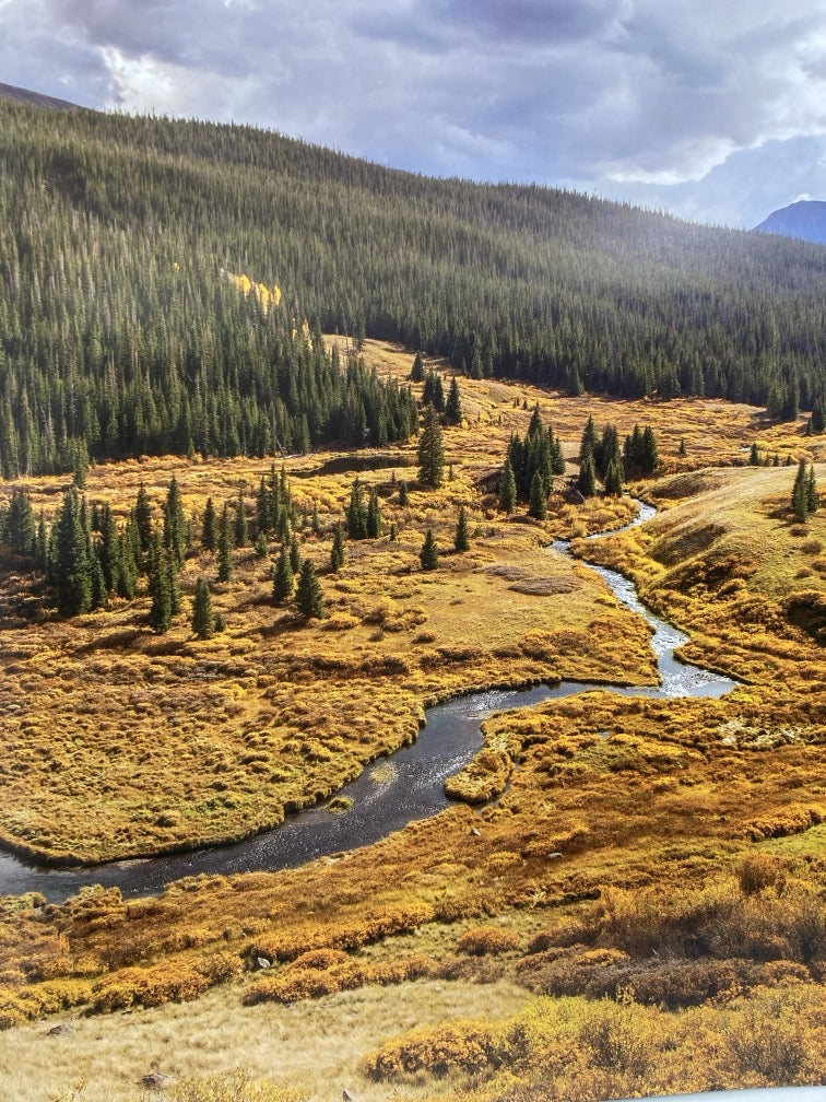 Colorado's Yampa River: Free Flowing and Wild from the Flat Tops to the Green