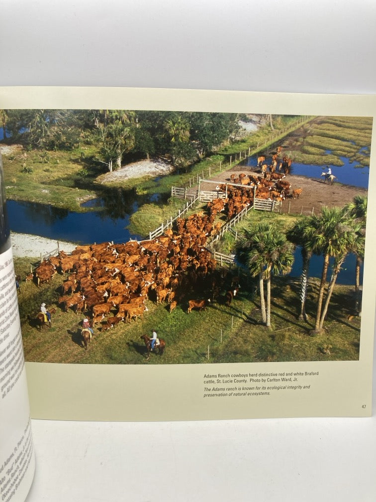 Florida Cattle Ranching: Five Centuries of Tradition