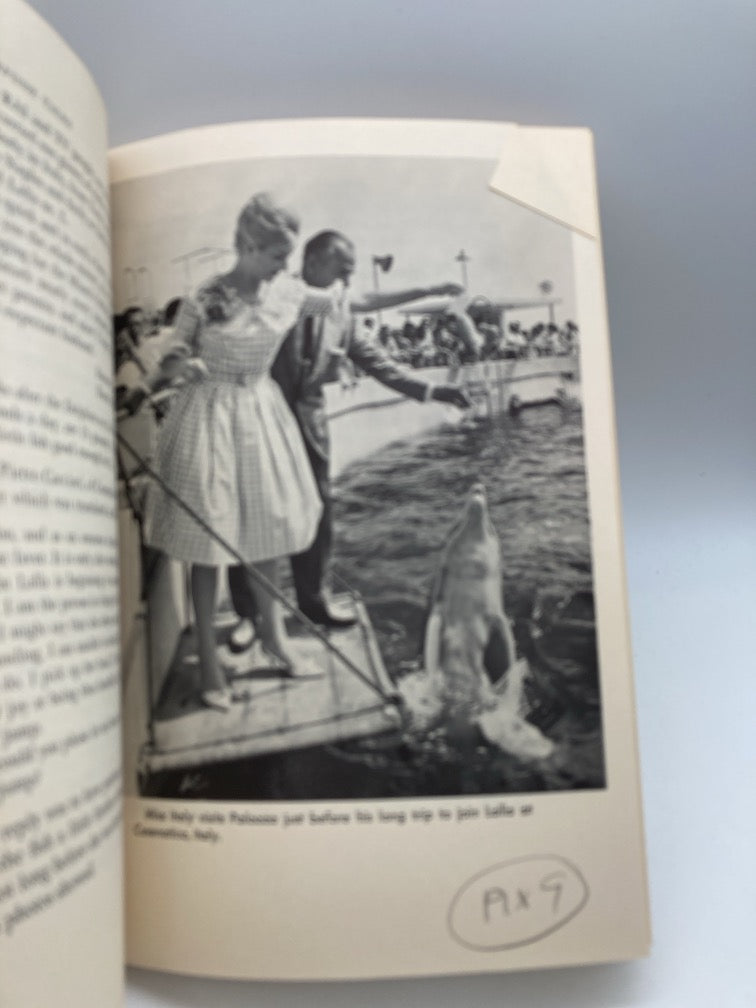 Porpoise Tales