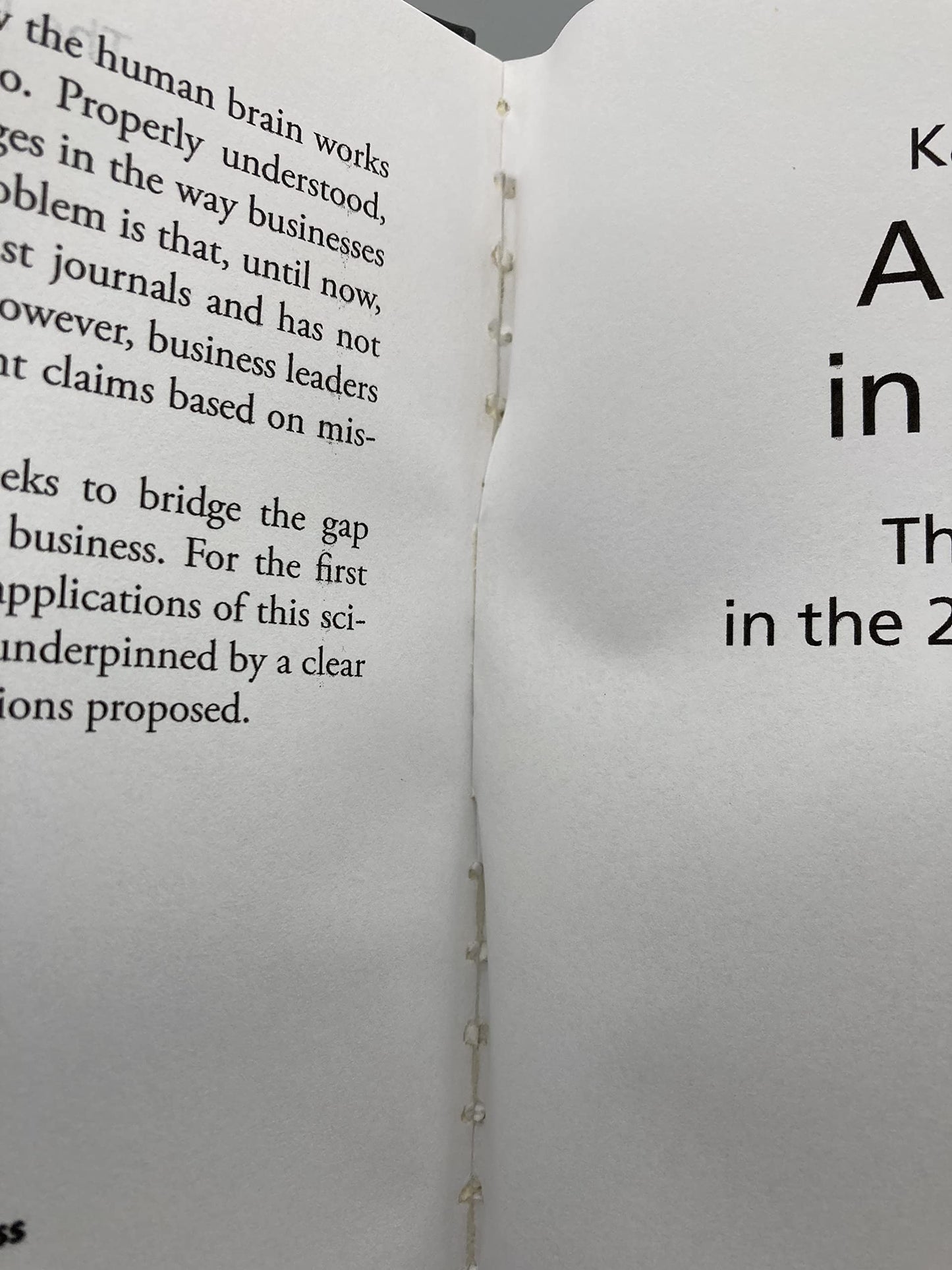 All the Brains in the Business: The Engendered Brain in the 21st Century Organisation (The Neuroscience of Business)