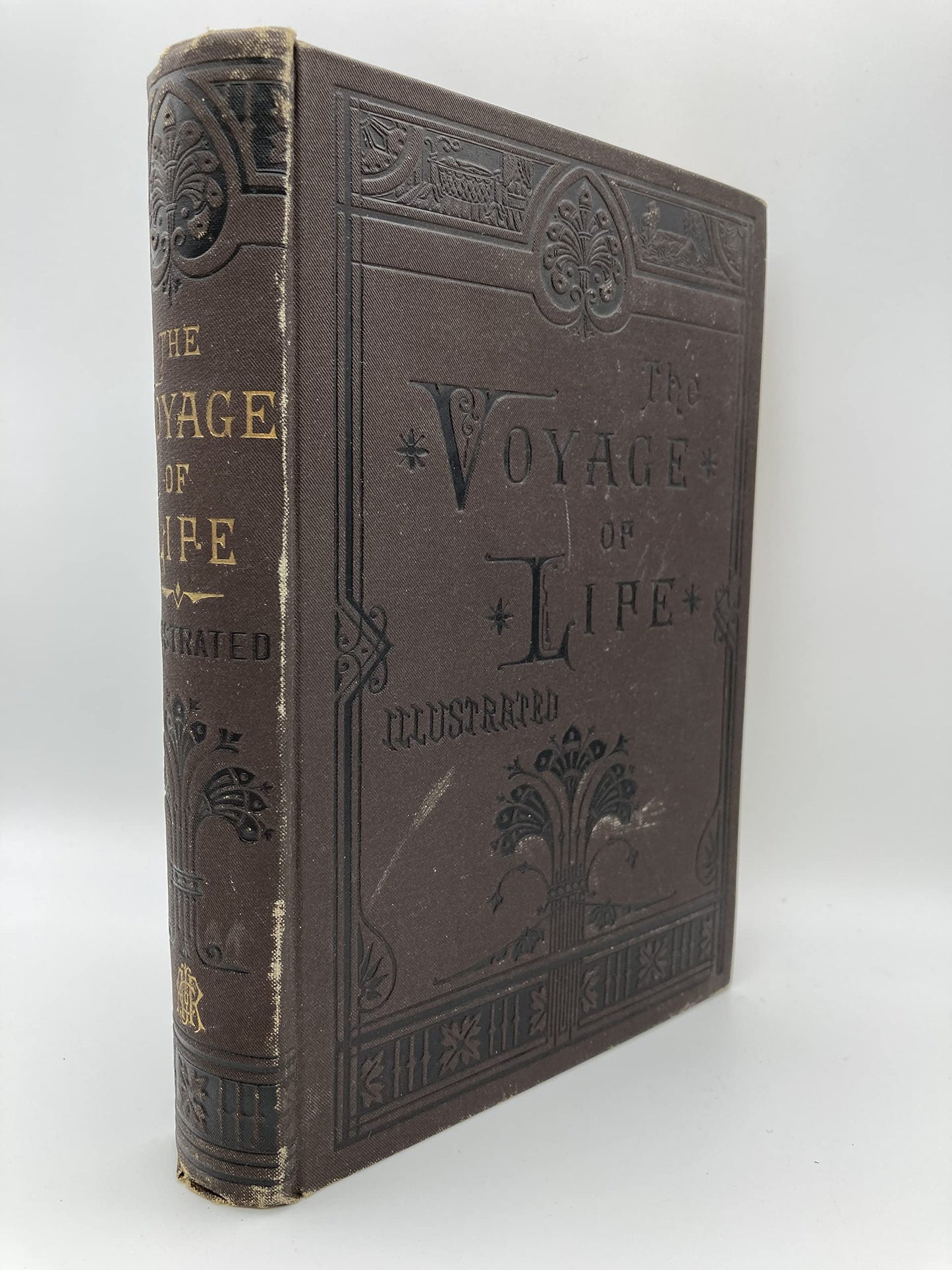 The Voyage of Life: A Journey from the Cradle to the Grave