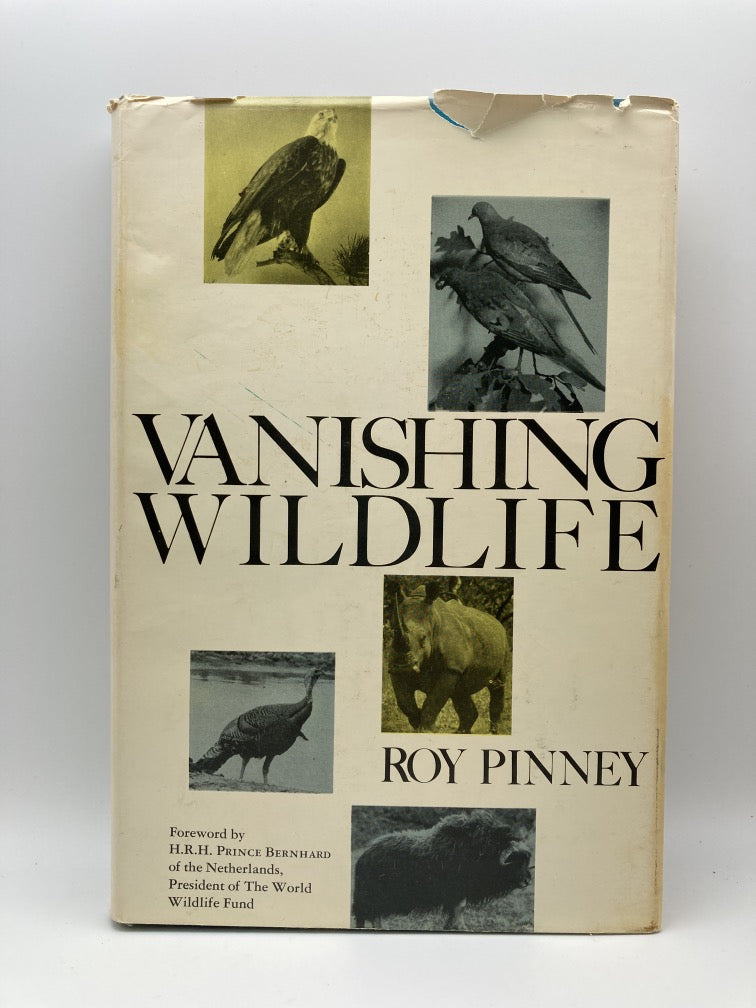 Vanishing Wildlife