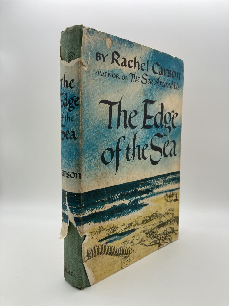 The Edge of the Sea